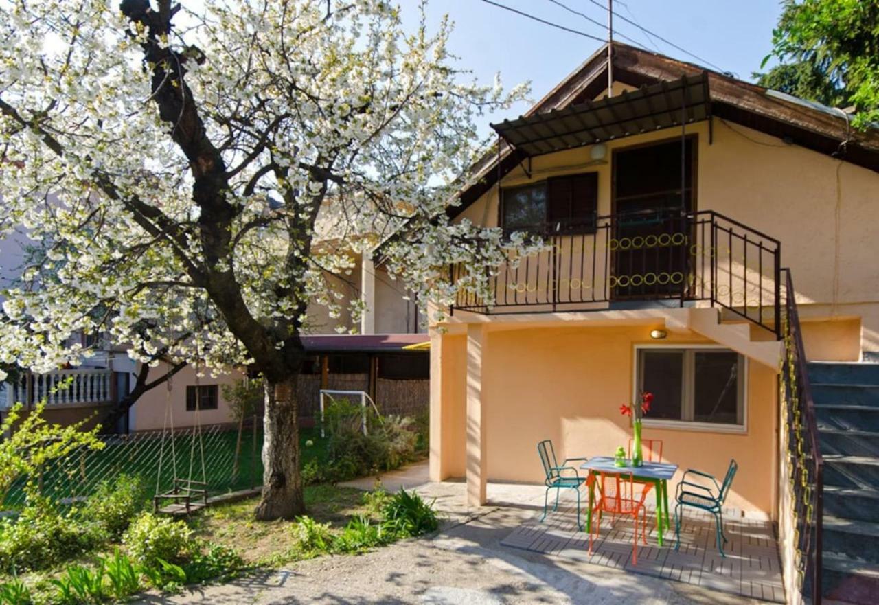 Cherry Tree Art House Belgrad Zewnętrze zdjęcie